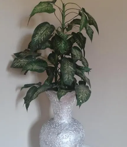 Gouveia Maison d'hôtes 3*